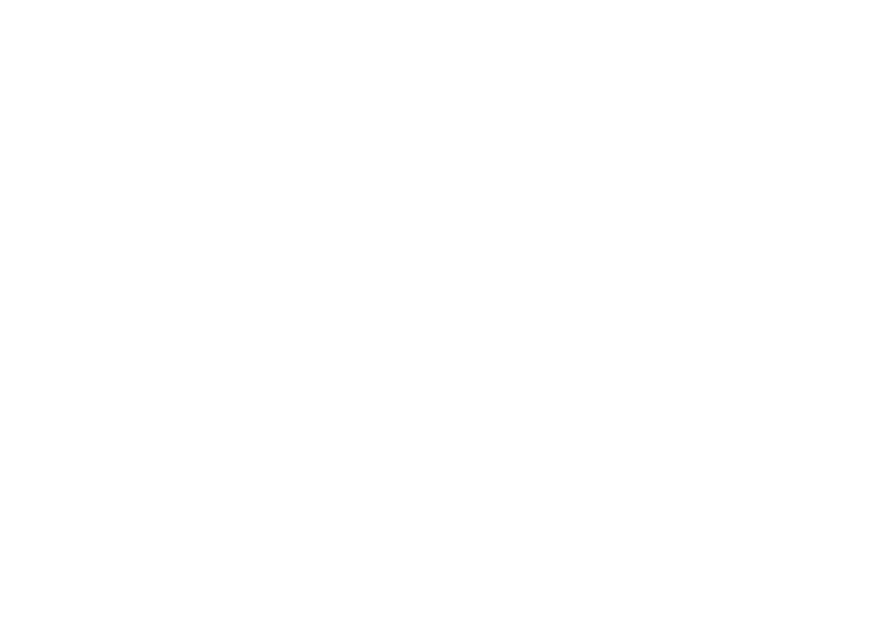 Anexis eSports logo