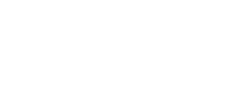Born in Mongolia logo