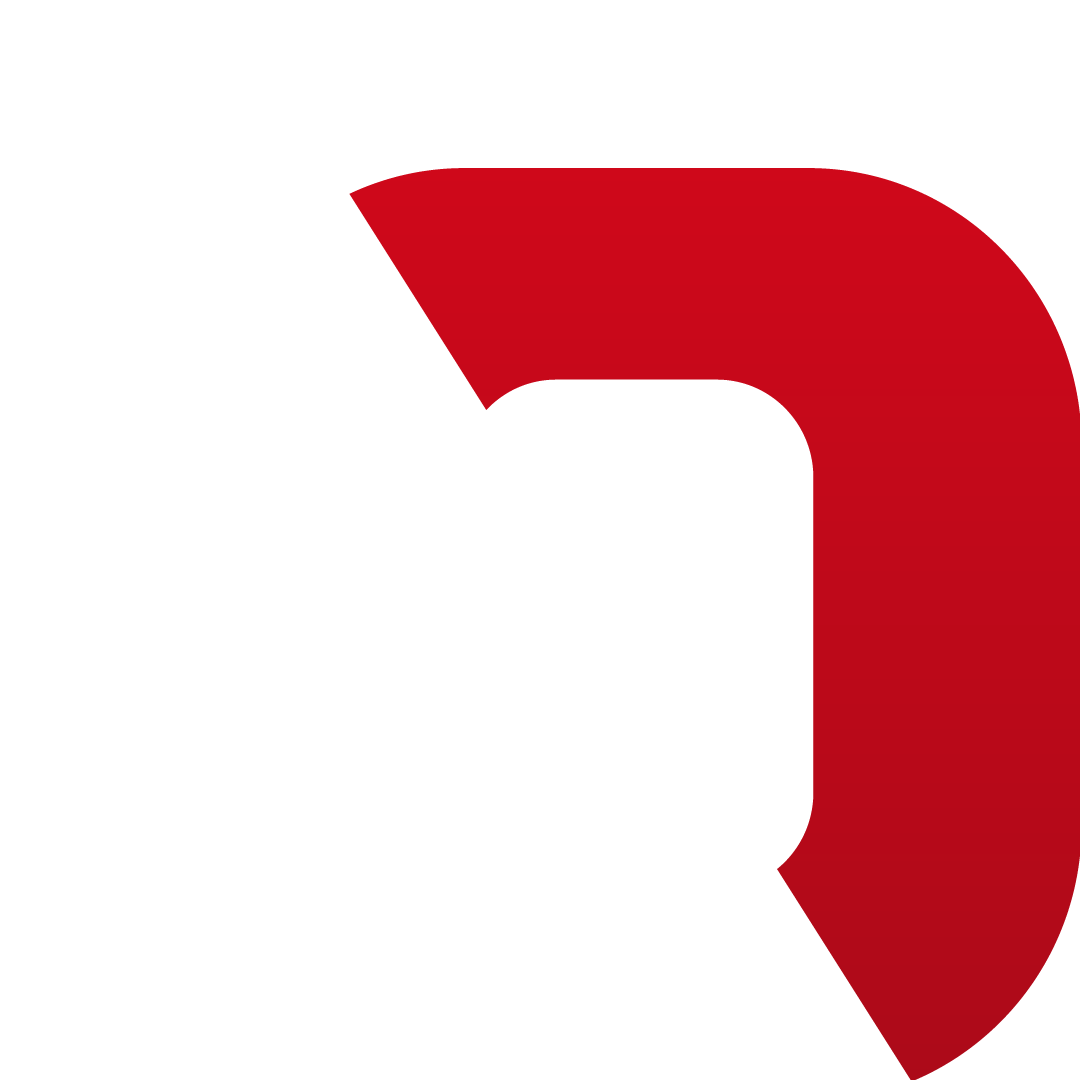 DIVIZON logo
