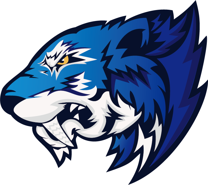 Flash Gaming logo