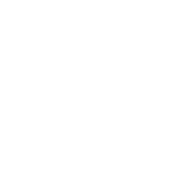 Fluxo logo