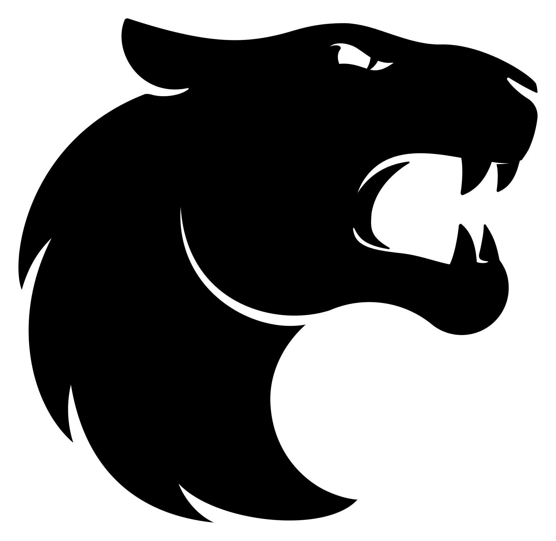 FURIA logo