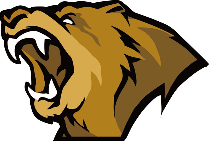 Lynn Vision Gaming logo