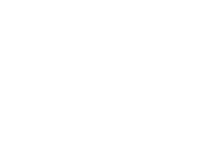 Nameless logo