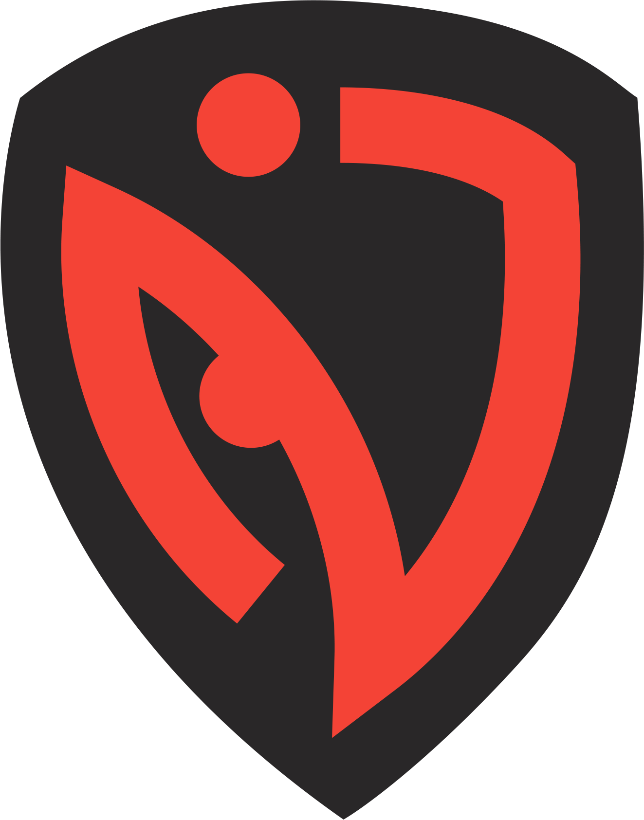 NASR Esports logo