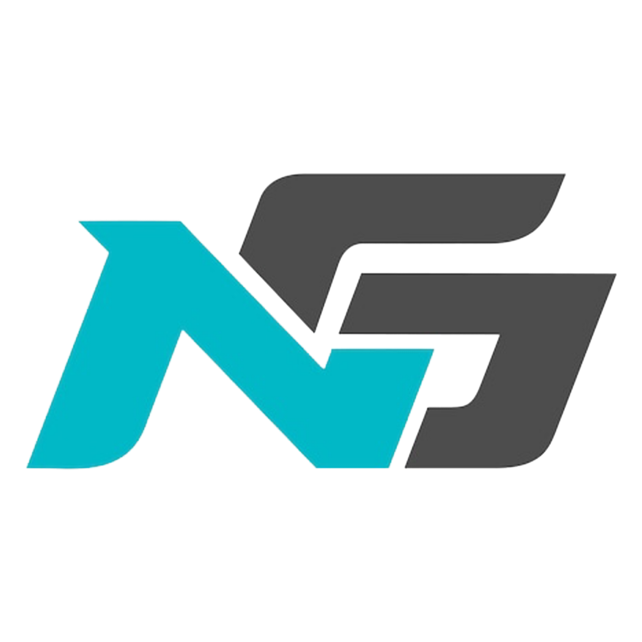 NG Esports logo