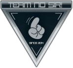 NO SIR! logo