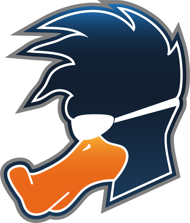 Playing Ducks logo