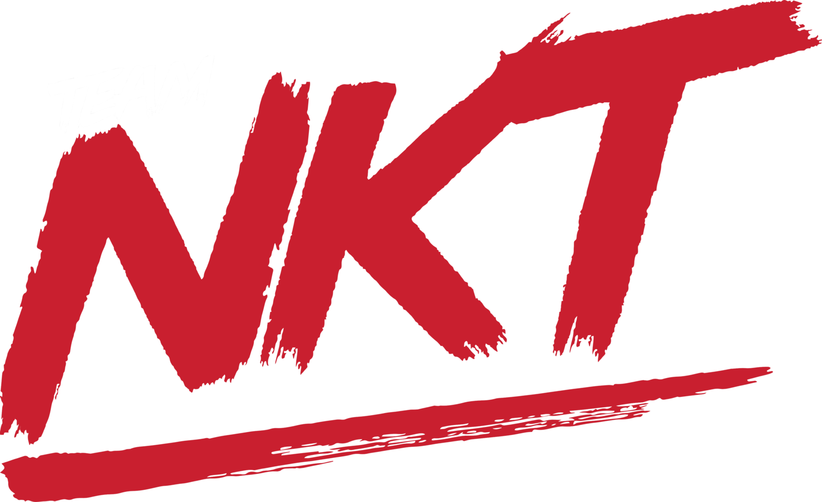 Team NKT logo