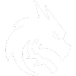 Team Spirit logo
