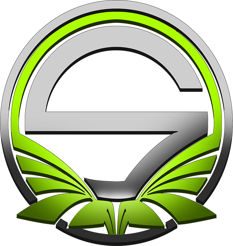 Team Singularity logo