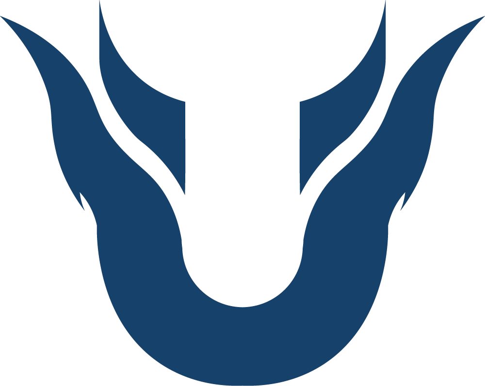 Team Unique logo