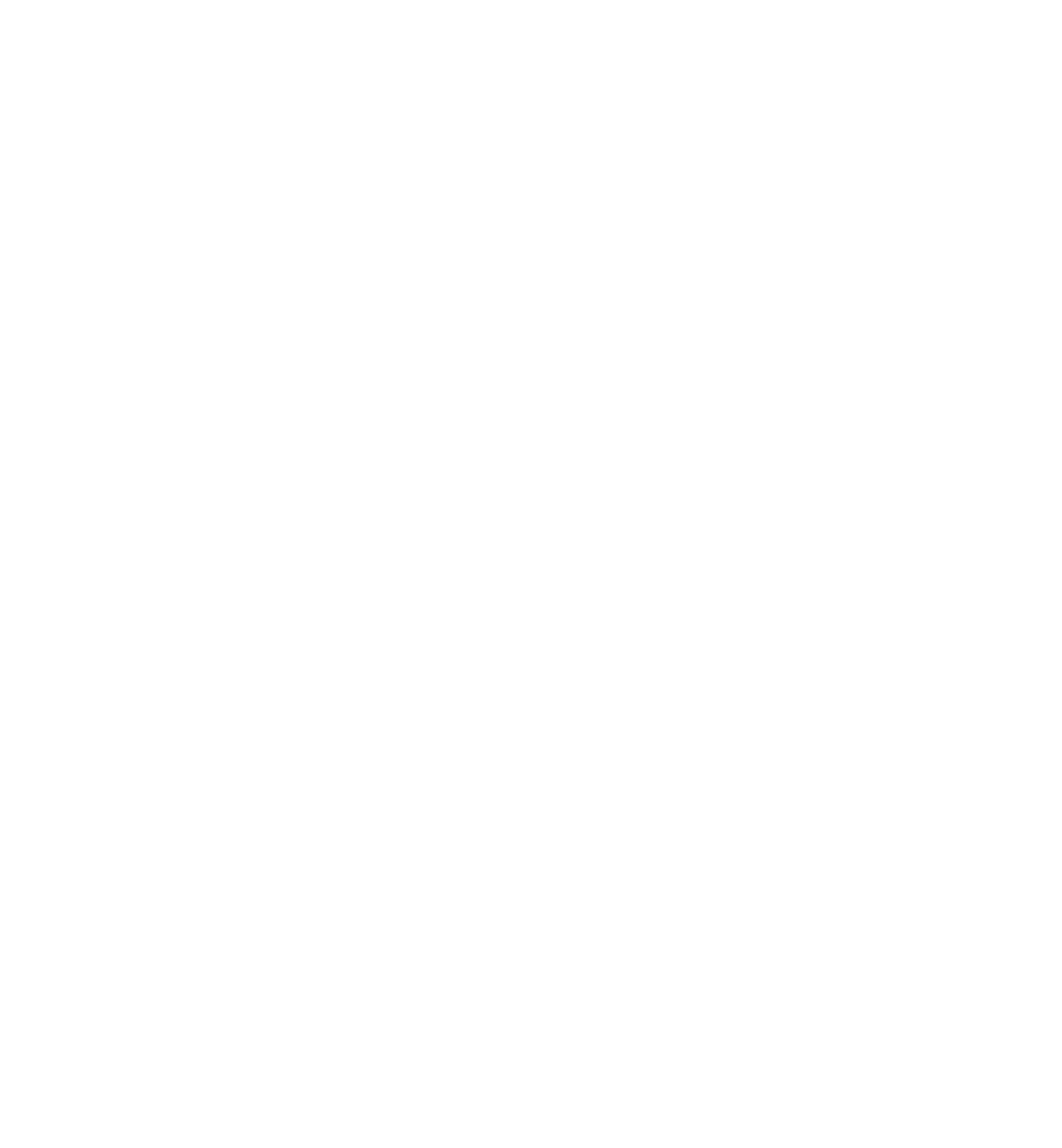 Turkey5 logo