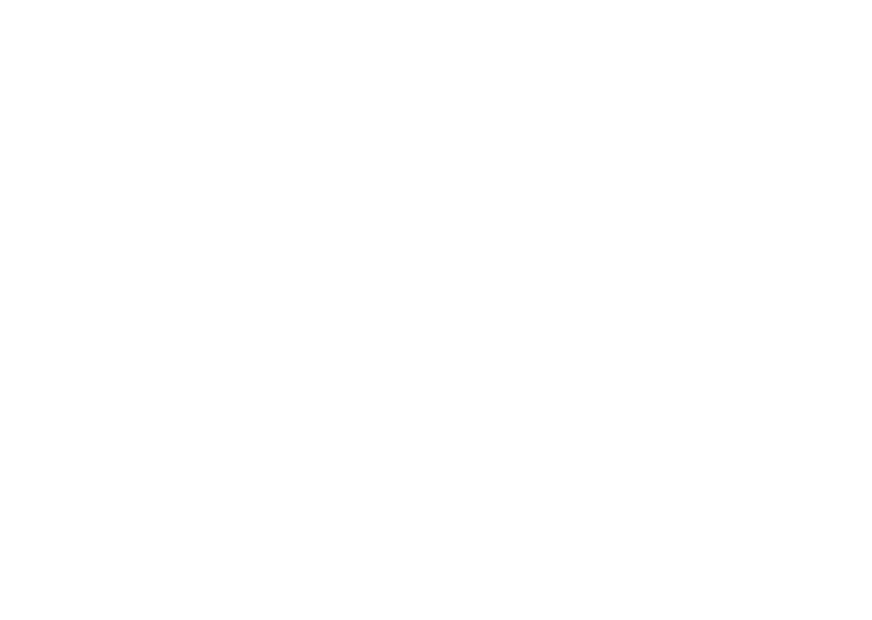 Anyone's Legend logo