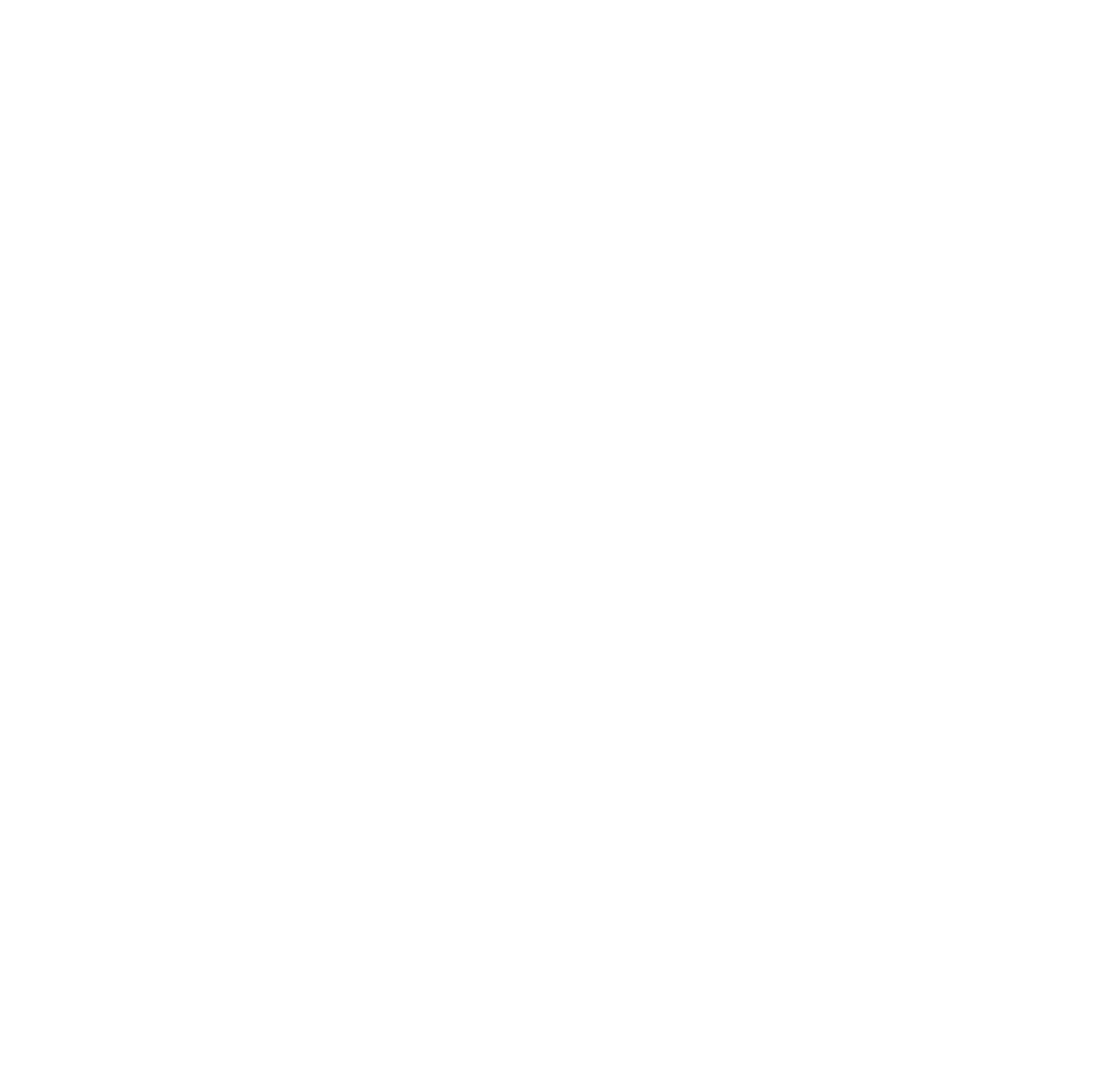 BRION logo
