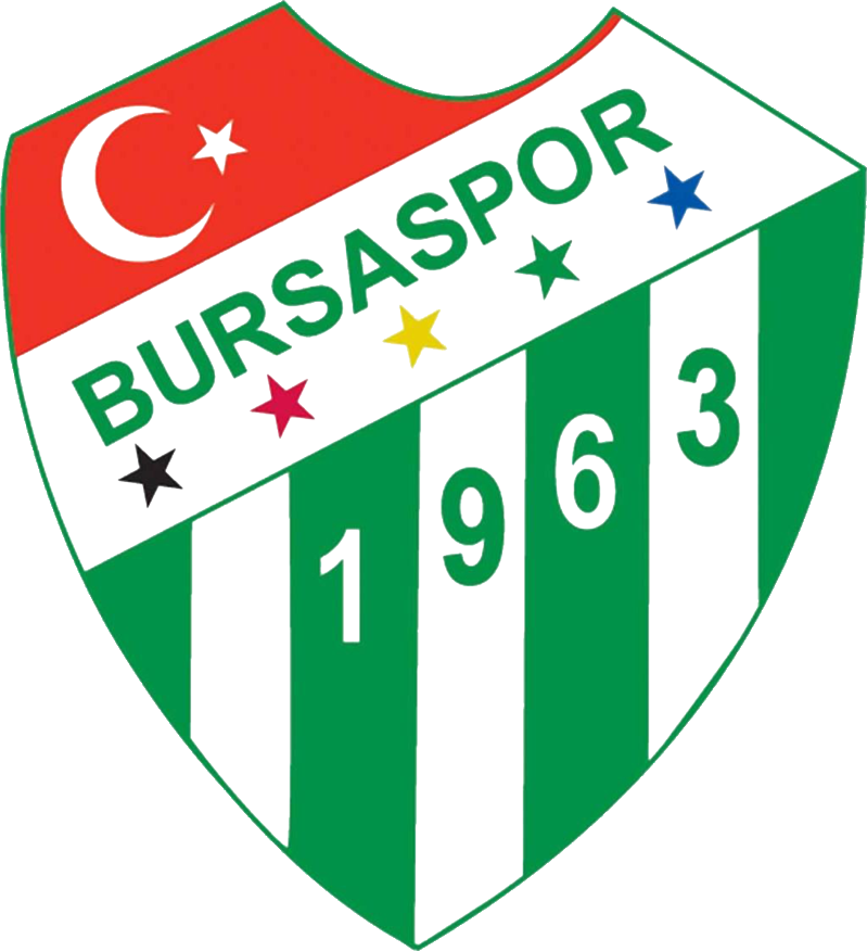 Bursaspor Esports logo