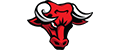 Dashing Buffalo logo