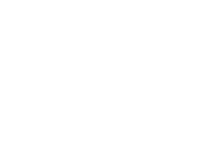 MAD Team logo