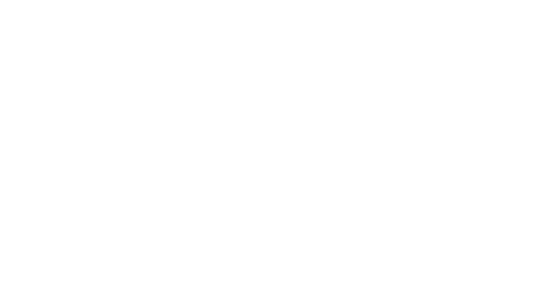 Secret Whales logo