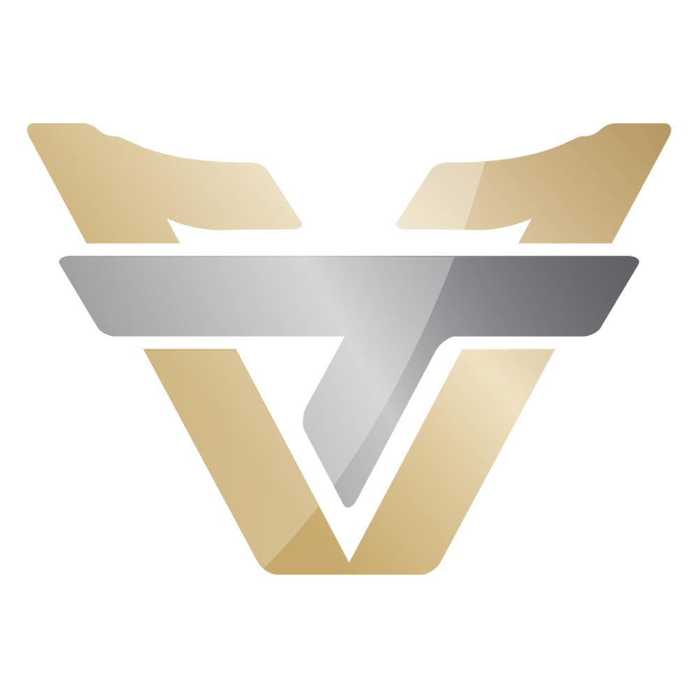 Team oNe eSports logo