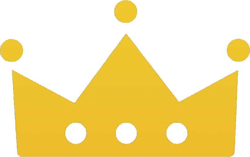 Team King logo