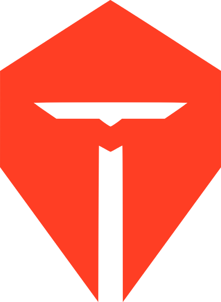Top Esports logo