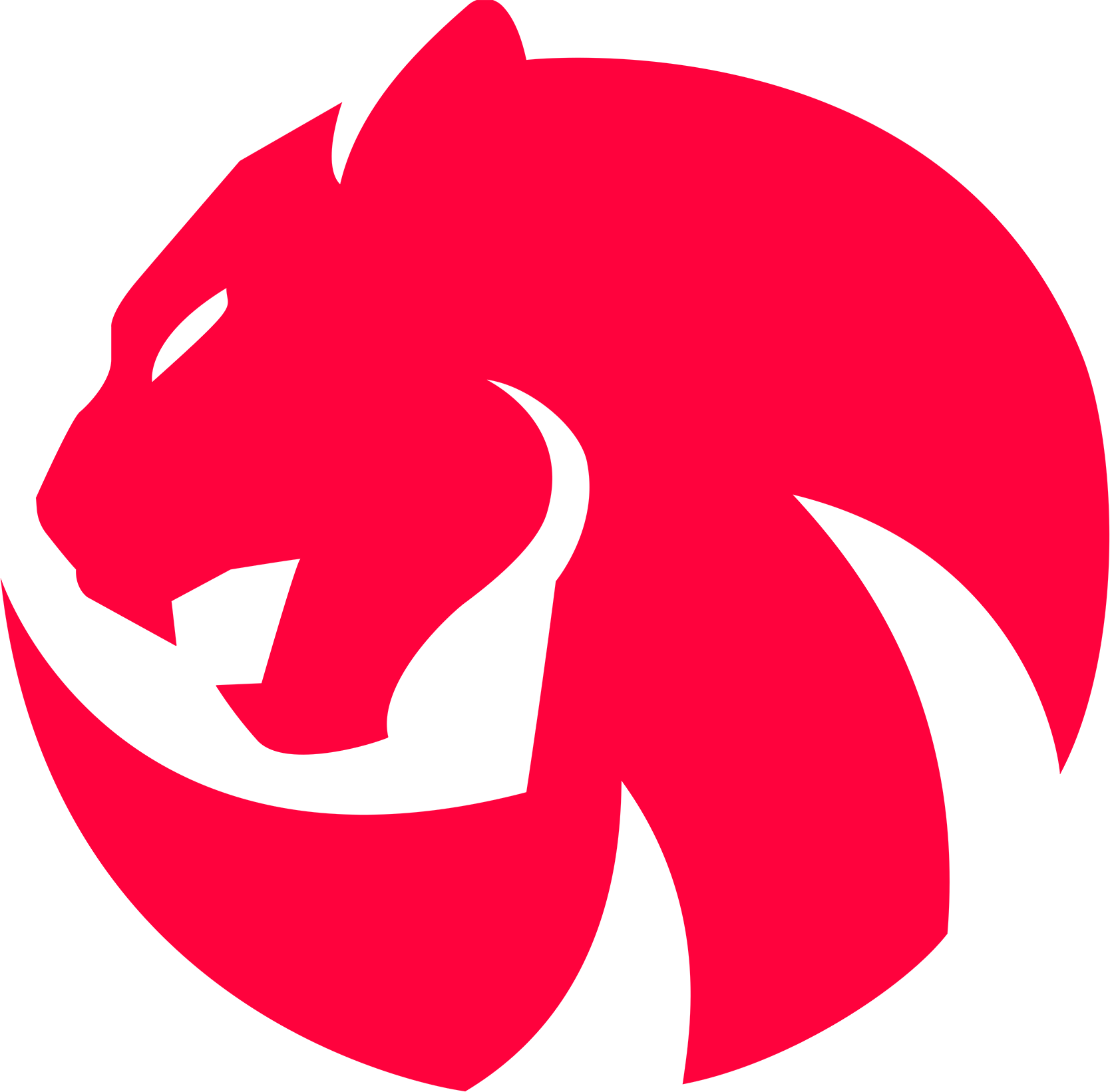 Australs logo