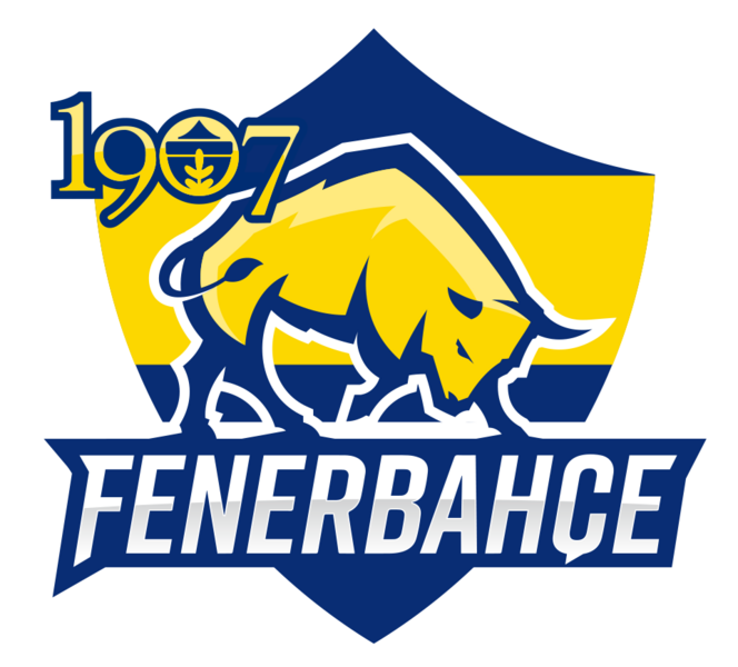 1907 Fenerbahçe Esports logo