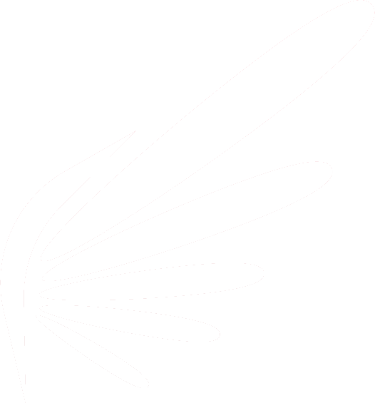 fire angels logo