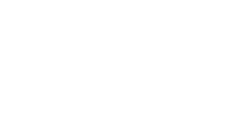 Northeption logo