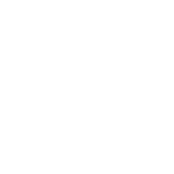 Team Envy logo