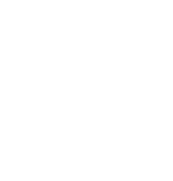 Team Solid logo