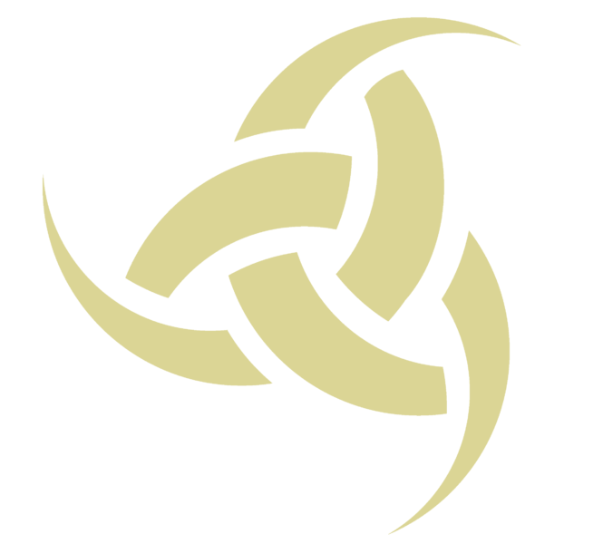 Team Vikings logo