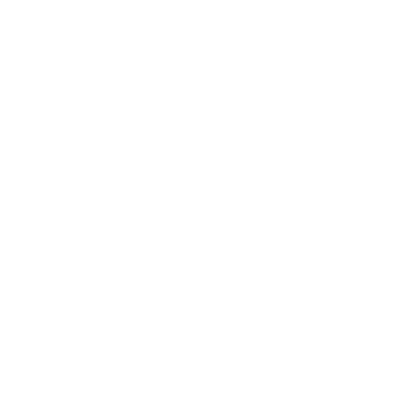 ZETA DIVISION logo